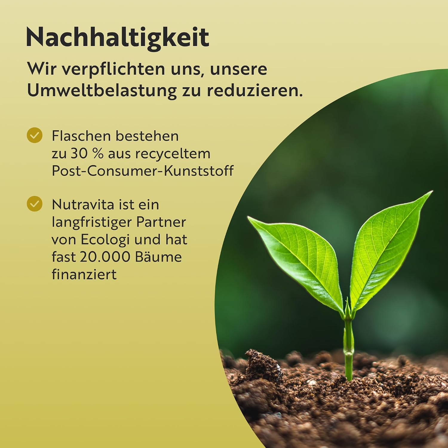 Bio Lion’s Mane Mushroom Kapseln 1500mg je Tagesdosis - 75 Löwenmähne Pilz Vegane Kapseln