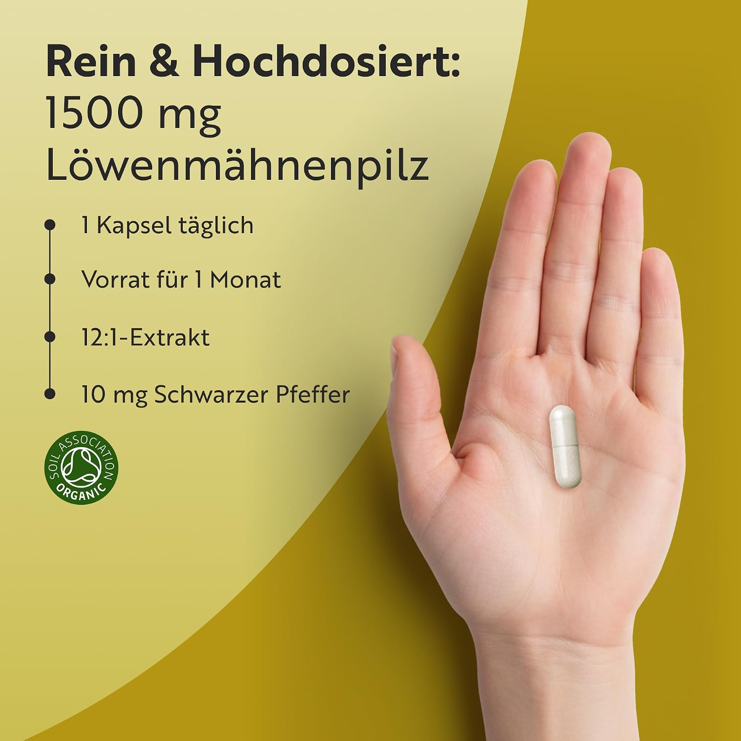 Bio Lion’s Mane Mushroom Kapseln 1500mg je Tagesdosis - 75 Löwenmähne Pilz Vegane Kapseln