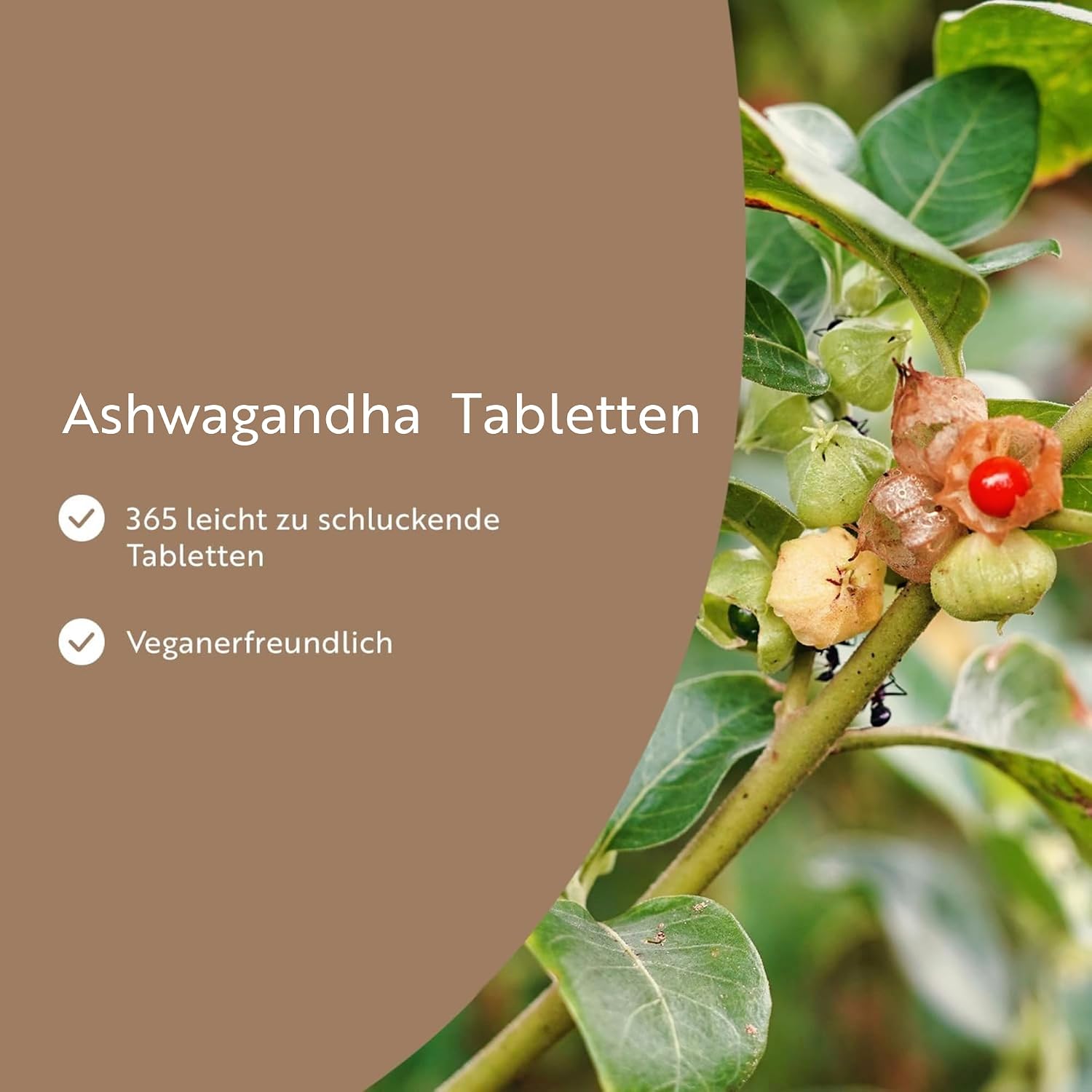 Ashwagandha Tabletten - 365 vegane Tabletten