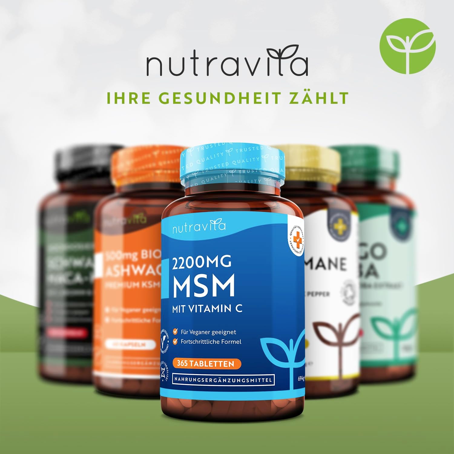 MSM 2200mg Tabletten
