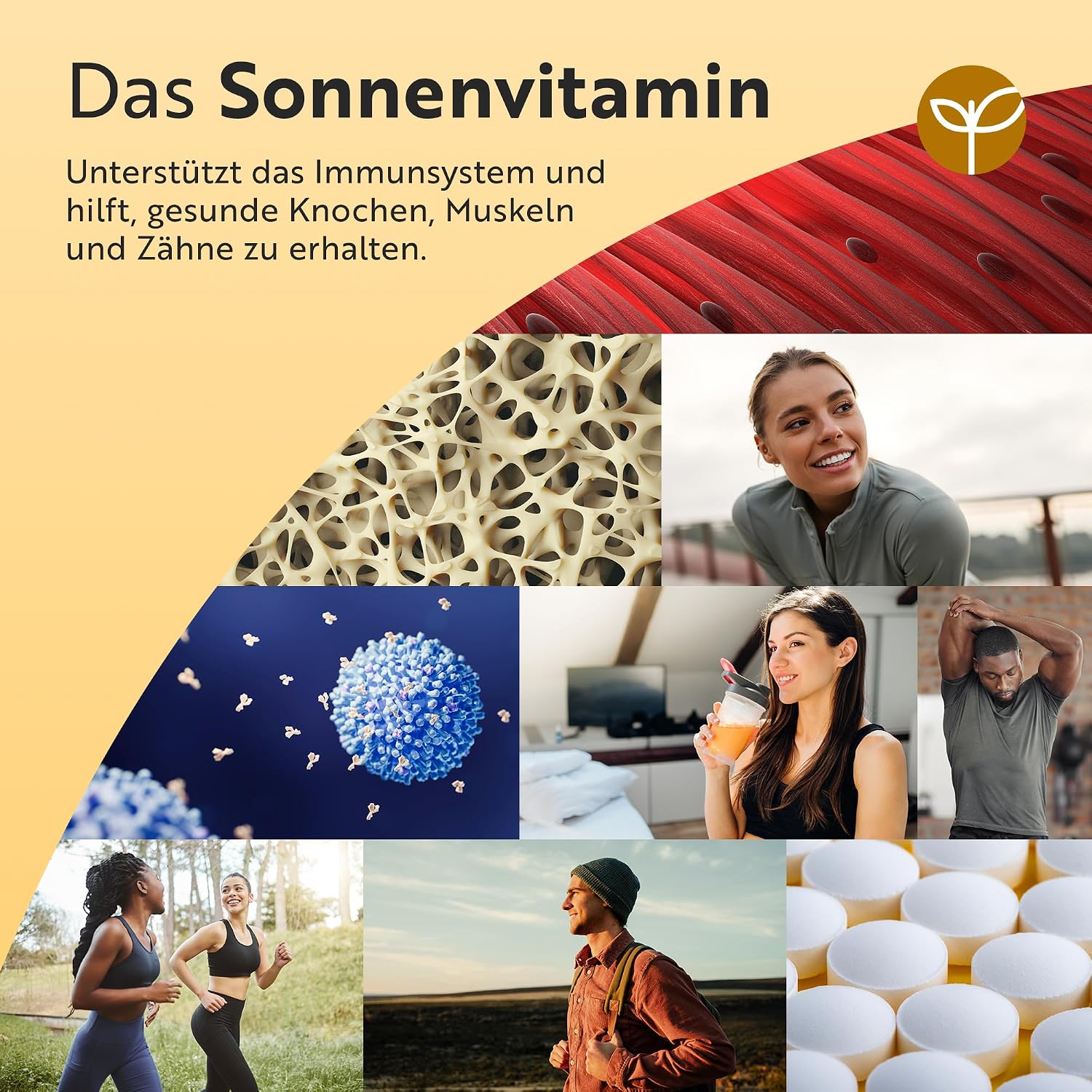 Vitamin D3 2000 IU Essentials 400 Tabletten