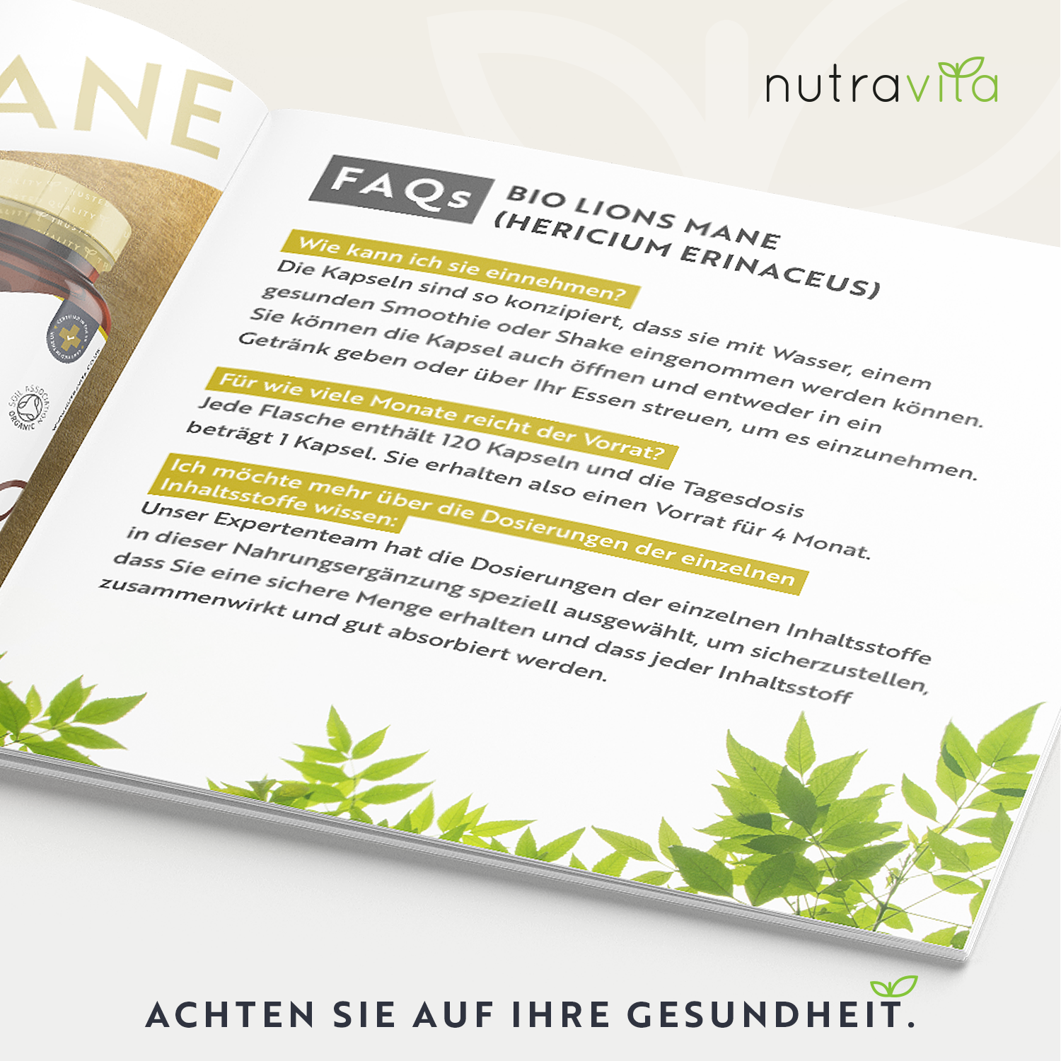Bio Löwenmähne Pilz 1500mg 120 Kapseln