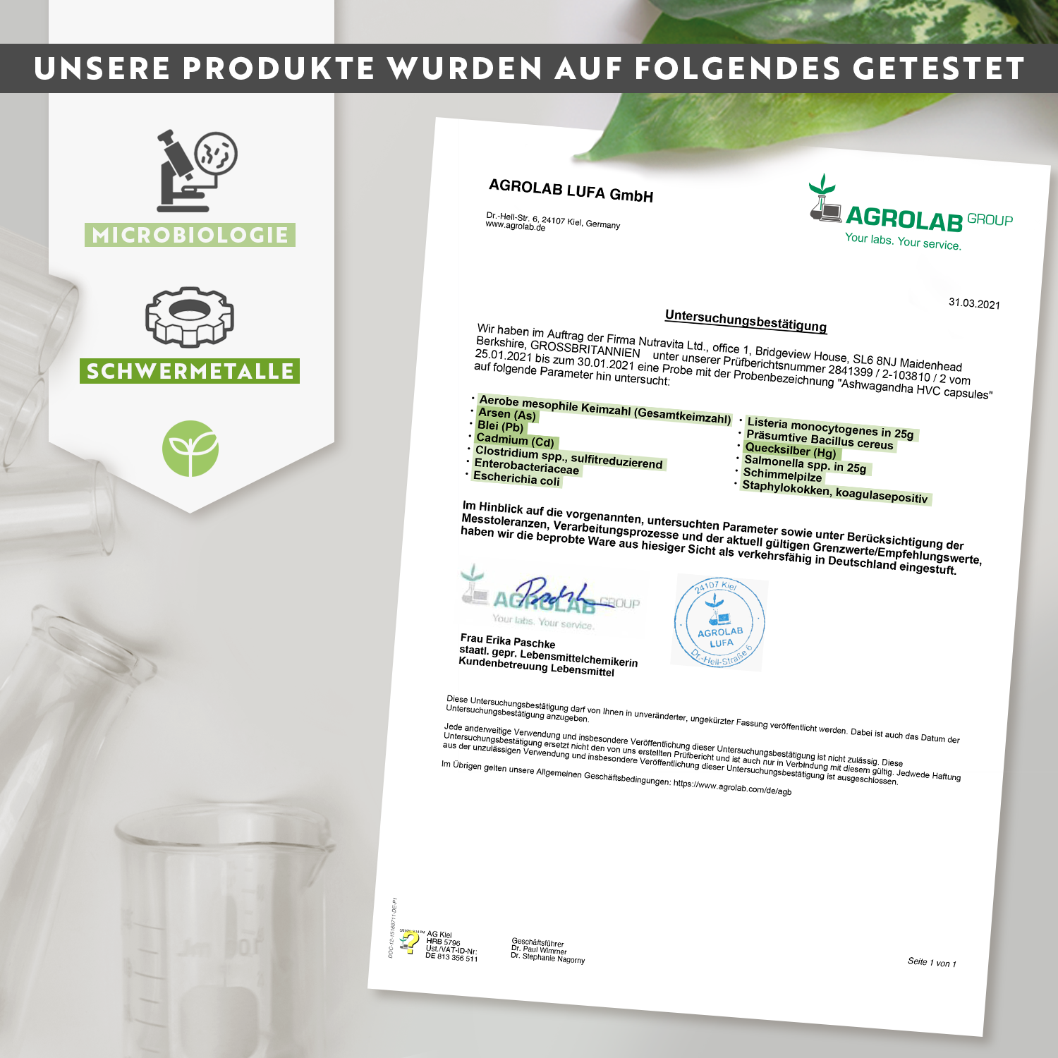 Bio-Ashwagandha KSM-66® 500mg Kapseln
